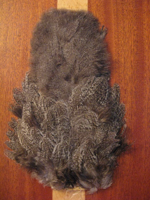 cog de lion hen soft hackle w/chickabou silver speckled  Whiting